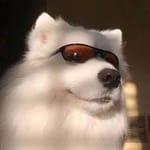 Hernán Barrios avatar